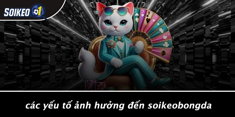 Các Yếu Tố Ảnh Hưởng Đến Soikeobongda