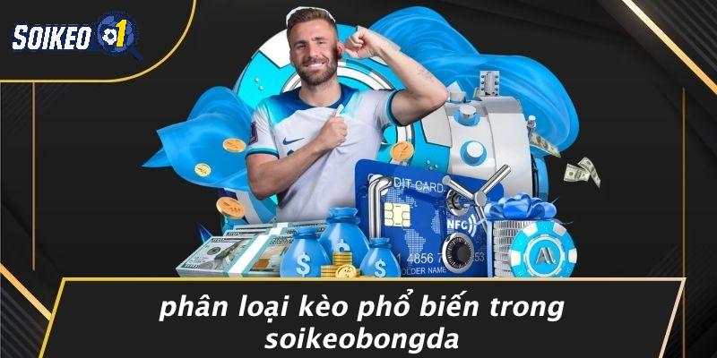 Phân Loại Kèo Phổ Biến Trong Soikeobongda